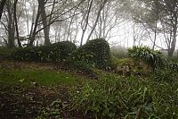 Trek.Today search results: The Lost Gardens of Heligan, Mevagissey, United Kingdom