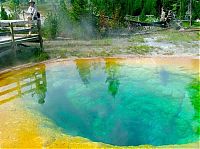 Trek.Today search results: Morning glory spring, Yellowstone National Park, United States