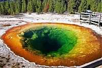 Trek.Today search results: Morning glory spring, Yellowstone National Park, United States