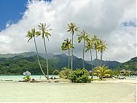 Trek.Today search results: Heaven on earth, French Polynesia