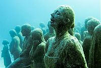 World & Travel: artificial reef