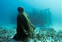 World & Travel: artificial reef