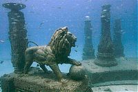 Trek.Today search results: artificial reef