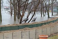 World & Travel: 2011 Red River Flood, North Dakota, Minnesota, United States