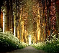 World & Travel: Nature landscapes by Lars Van De Goor