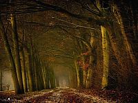 World & Travel: Nature landscapes by Lars Van De Goor