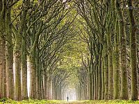 World & Travel: Nature landscapes by Lars Van De Goor