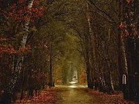 World & Travel: Nature landscapes by Lars Van De Goor