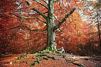 Trek.Today search results: Nature landscapes by Lars Van De Goor