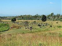 Trek.Today search results: The Plain of Jars, Laos