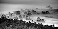 World & Travel: fog photography