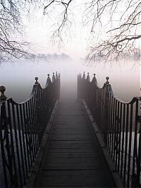 World & Travel: fog photography