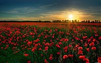 World & Travel: world travel landscape photography