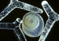 World & Travel: sand under a microscope