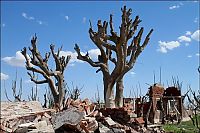 Trek.Today search results: Pablo Novak, alone in the flooded town, Epecuen, Argentina