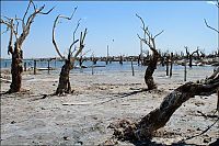 Trek.Today search results: Pablo Novak, alone in the flooded town, Epecuen, Argentina