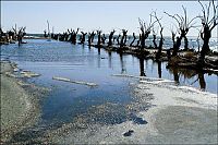 Trek.Today search results: Pablo Novak, alone in the flooded town, Epecuen, Argentina