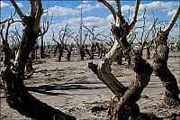 Trek.Today search results: Pablo Novak, alone in the flooded town, Epecuen, Argentina