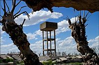 Trek.Today search results: Pablo Novak, alone in the flooded town, Epecuen, Argentina