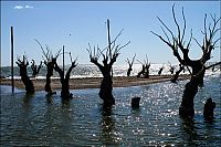 Trek.Today search results: Pablo Novak, alone in the flooded town, Epecuen, Argentina