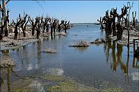 Trek.Today search results: Pablo Novak, alone in the flooded town, Epecuen, Argentina