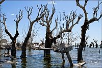 Trek.Today search results: Pablo Novak, alone in the flooded town, Epecuen, Argentina