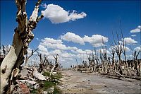 Trek.Today search results: Pablo Novak, alone in the flooded town, Epecuen, Argentina