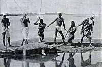 History: Egypt
