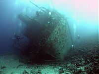 World & Travel: artificial reef