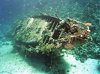 World & Travel: artificial reef