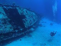 Trek.Today search results: artificial reef