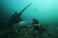 Trek.Today search results: artificial reef