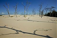 Trek.Today search results: Lençóis Maranhenses National Park, Maranhão, Brazil