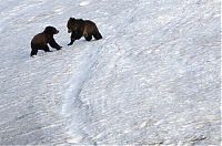 Trek.Today search results: Yellowstone National Park, Wyoming, Idaho, Montana, United States