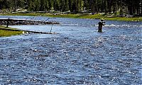 Trek.Today search results: Yellowstone National Park, Wyoming, Idaho, Montana, United States