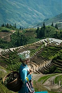 Trek.Today search results: paddy fields, rice terraces