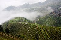 World & Travel: paddy fields, rice terraces
