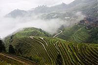 Trek.Today search results: paddy fields, rice terraces