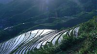 World & Travel: paddy fields, rice terraces