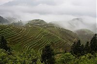 World & Travel: paddy fields, rice terraces