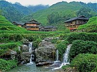 World & Travel: paddy fields, rice terraces