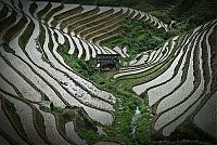 Trek.Today search results: paddy fields, rice terraces