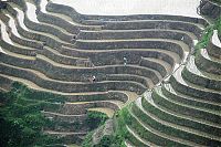 Trek.Today search results: paddy fields, rice terraces