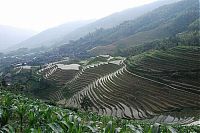 Trek.Today search results: paddy fields, rice terraces