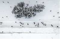 World & Travel: bird's-eye view of winter