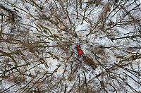 World & Travel: bird's-eye view of winter