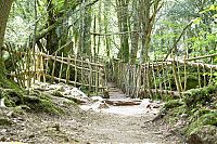 World & Travel: Puzzlewood, Coleford in the Forest of Dean, Gloucestershire, England, United Kingdom