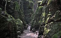 Trek.Today search results: Puzzlewood, Coleford in the Forest of Dean, Gloucestershire, England, United Kingdom