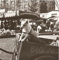 Trek.Today search results: History: Old photos of Paris, 1900, France