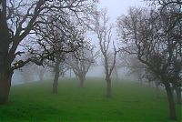 World & Travel: fog forest